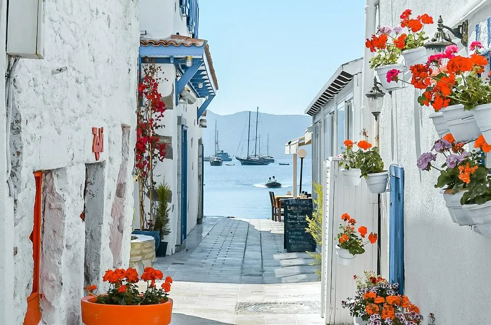 turkey